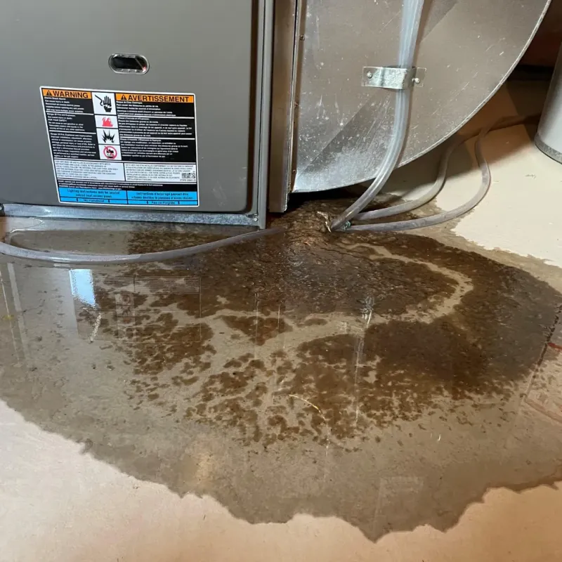 Appliance Leak Cleanup in Reynolds, GA