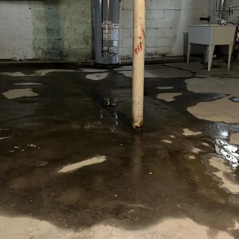 Emergency Water Extraction And Removal in Reynolds, GA